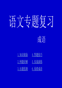 高三语文《语文高考成语复习》复习ppt课件