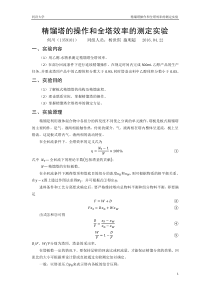 精馏塔的操作和全塔效率的测定实验