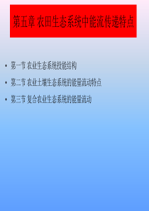 土壤生态学课件-第五章-农田生态系统中能流传递特点1