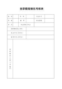 挂职锻炼情况考核表