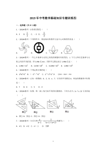 2019年中考数学基础知识专题训练四