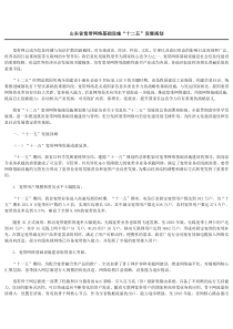 山东省宽带网络基础设施“十二五”发展规划