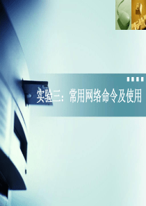 常用网络命令及使用