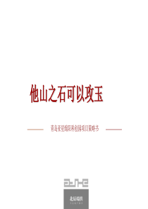 山东青岛亚星绵阳科创园项目地块发展策略书_207页