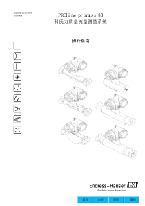 E+H质量流量计中文操作手册