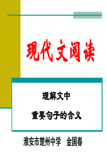 高考复习现代文阅读：理解文中重要句子的含义ppt