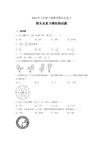 最新精编2019年七年级数学下册期末总复习考试题(含答案)