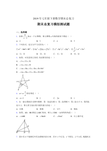 最新精编2019年七年级数学下册期末总复习模拟考试题(含参考答案)