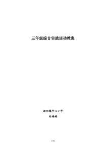 小学教育社会实践活动教案