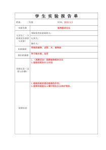 教科版三年级上册学生实验报告单(植物根的生长)