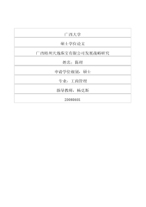 广西梧州天逸珠宝有限公司发展战略研究