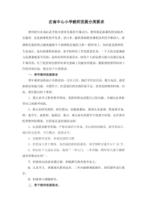 庄南中心小学教师发展分类要求