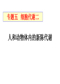 7人、动物新陈代谢及细胞呼吸及新陈代谢类型