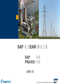 SAP-电力资产设备管理解决方案