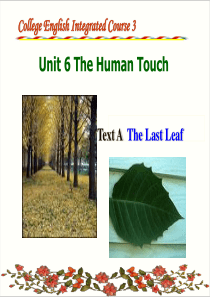 Book Three Unit 6 PPT