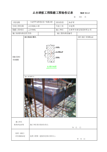 止水钢板隐蔽工程验收记录