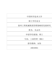 徐州工程机械集团营销策略的发展研究