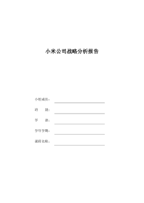 小米公司战略分析报告DOC