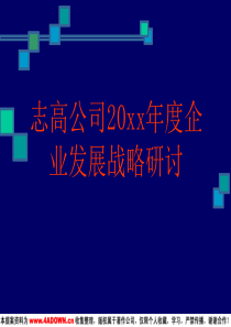 志高公企业发展战略研讨