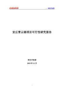 安丘项目可行性研究报告