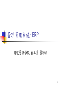 管理资讯系统- ERP