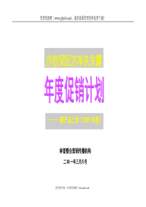 42-沙宣深层洁净洗发露上市策划方案