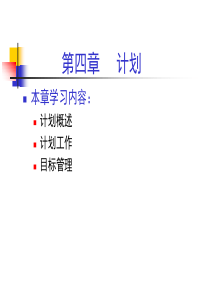 管理学原理-04计划原理