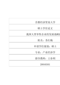 我国大型零售企业的发展战略探索