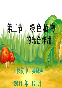 生物：第二单元第一章第三节绿色植物的光合作用(济南版七年级上)