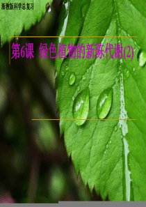 绿色植物的新陈代谢1