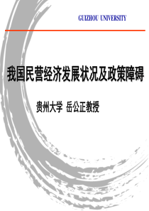 我国民营经济发展状况及政策障碍