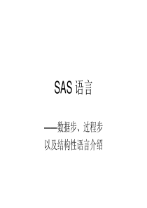 sas数据整理(professional)