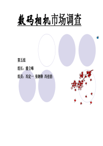 数码相机市场调查