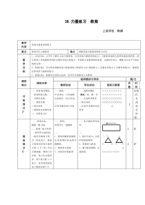 28.力量素质练习教案