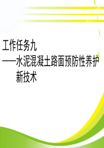 水泥混凝土路面预防性养护技术