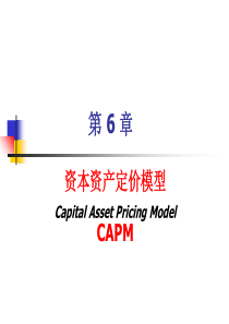 6金融经济学(第六章-资本资产定价(CAPM)理论)-PPT精品文档100页