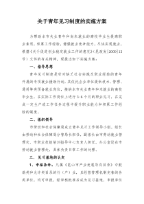 关于青年见习制度的实施方案1