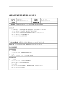 战略与投资发展部科技管理员岗位说明书