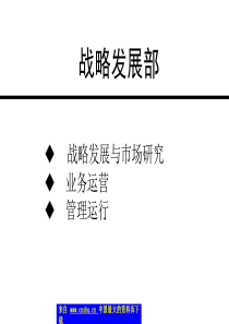 战略发展部流程（PPT 33页）