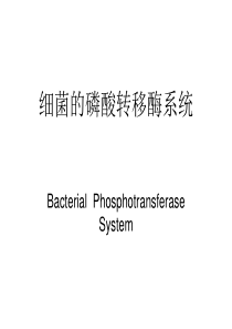 细菌的磷酸转移酶系统