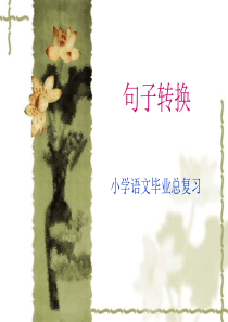 小学语文毕业总复习《句式转换》专项复习