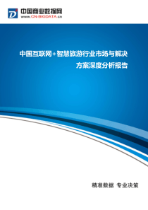 中国互联网+智慧旅游行业市场与解决方案深度分析(目录)