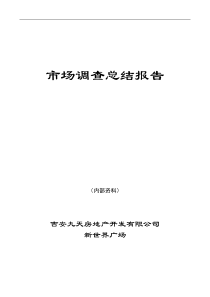 新世界广场市调总结报告全案