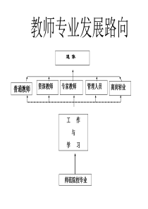 教师专业发展路向