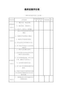 教师发展评价表