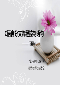 C语言公开课教案