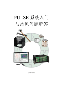 PULSE系统入门手册与常见问题解答-版本12-20