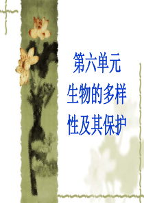 初二 上 六 生物的多样性及其保护