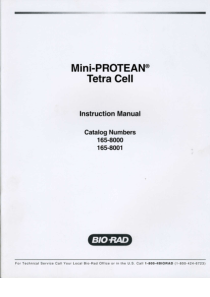 Instruction  Manual of Mini-Protean Tetra Cell(电泳槽