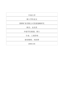 新桥矿业有限公司发展战略研究